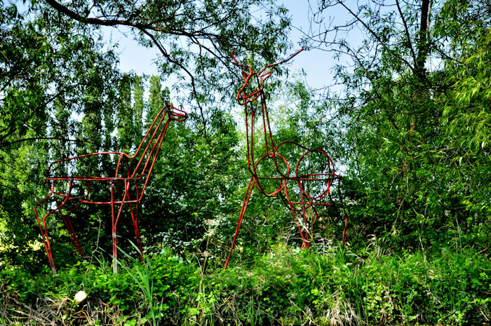 Family Gathering is composed of two deer sculptures created by Courtney Lee for the 3Rs sculpture trail