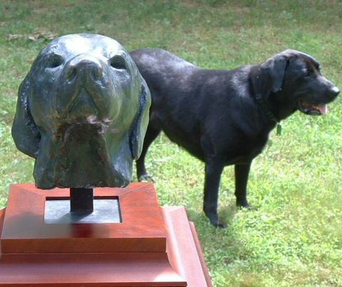 Bronze sculpture portrait of a female labrador