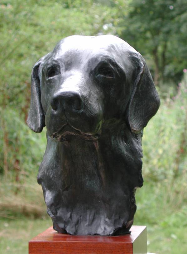 Man's best friend - bust of a labrador