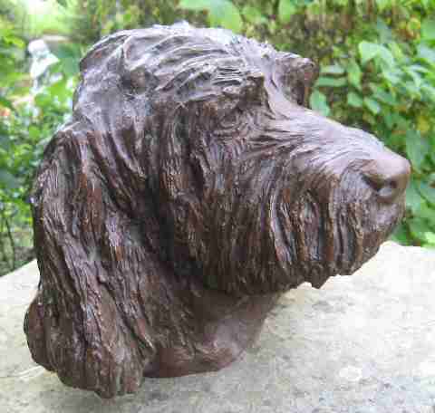 Portrait of an Italian Spinone - dog sculpture by Laury Dizengremel