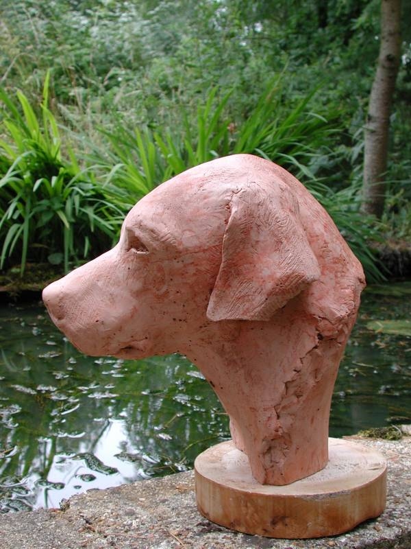 Man's best friend - bust of a labrador