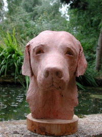 Sculpture portrait of a labrador -  - click on image for larger views of this animal sculpture
