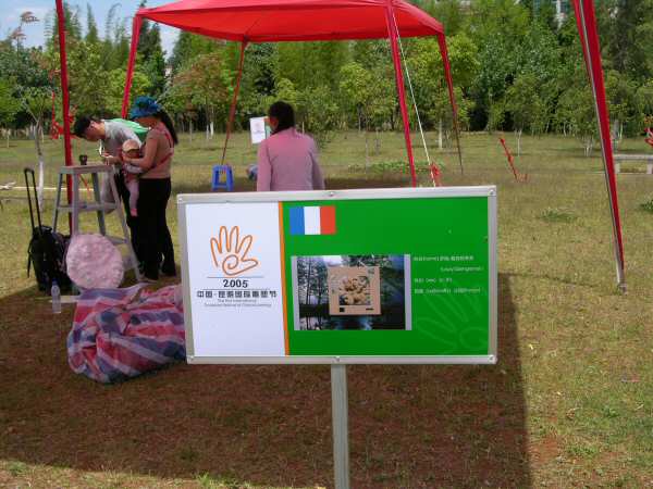 The sign, the tent, and the first sculpture stand, typical set-up for any sculpture symposium