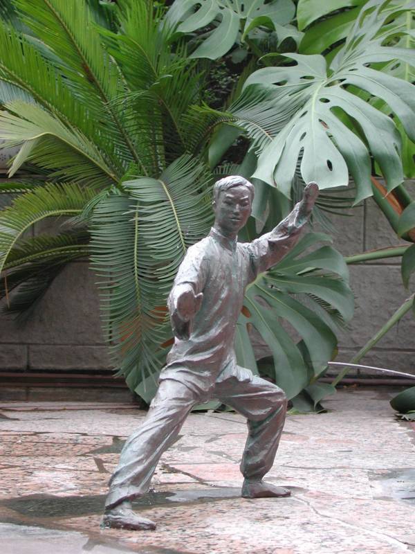 Tai Chi - side view