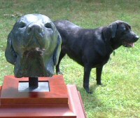 A female labrador bust sculpture - click for larger image